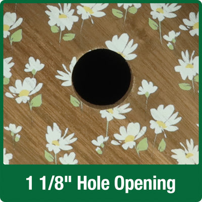 Nature's Way  Deco Bird House Springwood Daisy