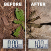 Spruce 24oz Spray Weed & Grass Killer