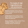 Cloud Star Buddy Biscuits Healthy Whole Grain Oven Baked Treats: Assorted Flavors