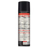 SPECTRACIDE Foaming Wasp & Hornet Killer