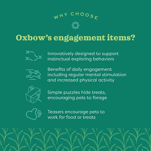 Oxbow Enriched Life – Pyramid Treat Hanger