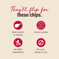 The Honest Kitchen Gourmet Beef Liver & Cheddar Chips Dog Treats