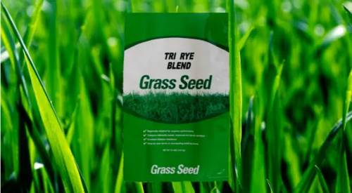 Seedway Tri-Rye Blend