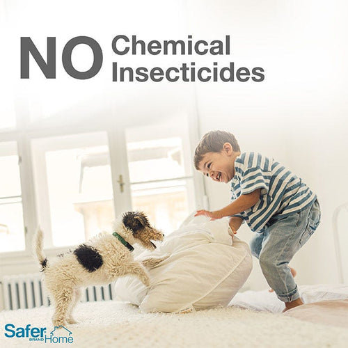 SAFER® BRAND Home Spider & Insect Traps