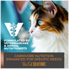 Tiki Cat® Solutions™ Digestion Baked Kibble: Lamb & Egg Recipe Dry Cat Food