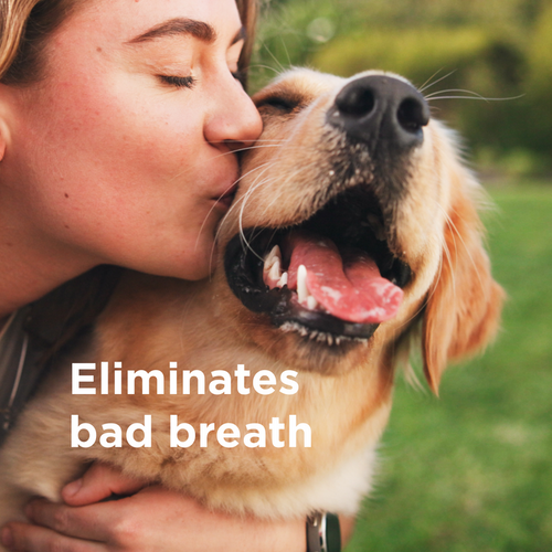 Wondercide RESCUE™ Oral Spray for Dogs & Cats