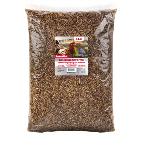 Hungrybird Dried Mealworms High Protein Poultry Treats for All Wild Birds & Chicken Flocks