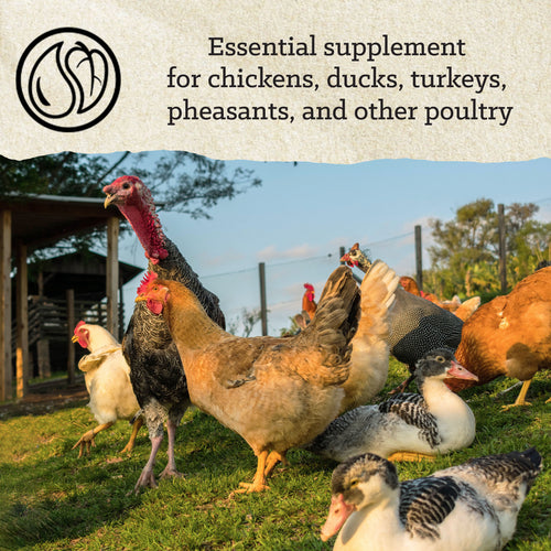 Nutrena® NatureWise® Grit