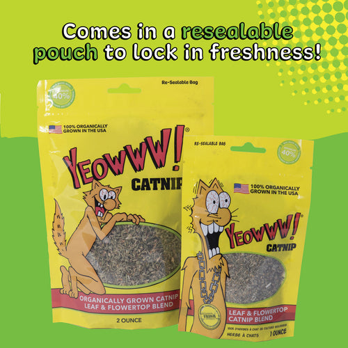 Yeowww! Catnip Pouch
