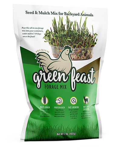 Amturf Green Feast Forage Mix Seed & Mulch Mix for Backyard Animals