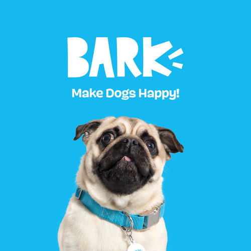 BARK Odd Otto Dog Toy