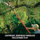 Corona DualLINK Tree Saw and Pruner, 14 ft. Pole