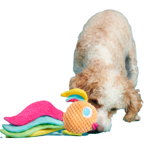 BARK Ahi Tina Plush Tug Dog Toy