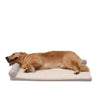 Territory Khaki Orthopedic Lounger Dog Bed