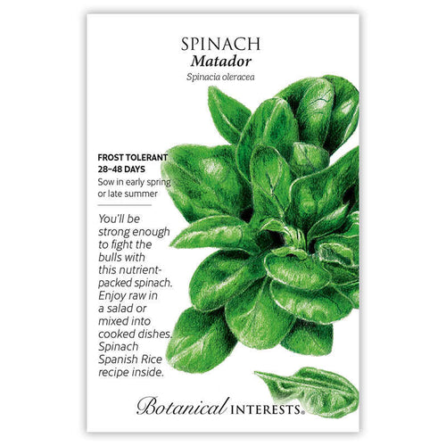 Botanical Interests Matador Spinach Seeds