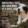 Canophera Sheep Horn Chews for Dogs
