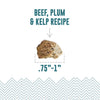Icelandic+ Beef, Plum & Kelp Recipe Soft & Chewy Bites for Dogs