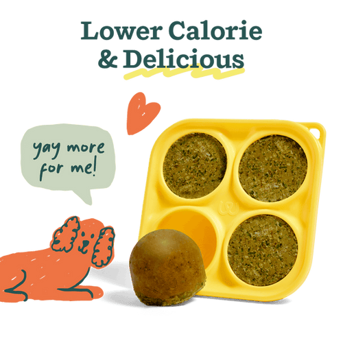 Woof Sushi Roll Pupsicle Mix