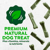 Greenies Adult Dental Dog Treats Regular Size Original