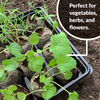 Jiffy Seed Starting Kit, 72 Cell 36mm Peat Pellets