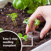 Jiffy Seed Starting Kit, 72 Cell 36mm Peat Pellets
