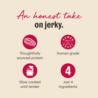 The Honest Kitchen Slow Cooked Salmon Jerky Chews Dog Treat