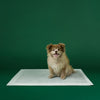 Earth Rated Max Absorbency Training Dog Pee Pads