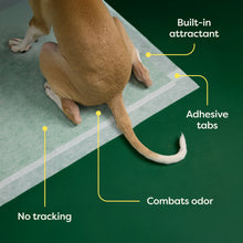 Earth Rated Max Absorbency Training Dog Pee Pads