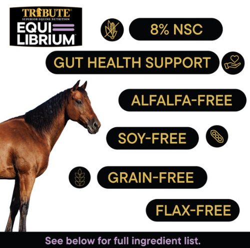 Tribute Equi-Librium™ Treats for Horse