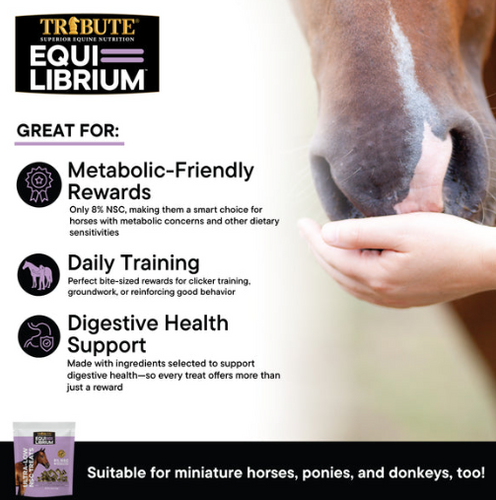 Tribute Equi-Librium™ Treats for Horse