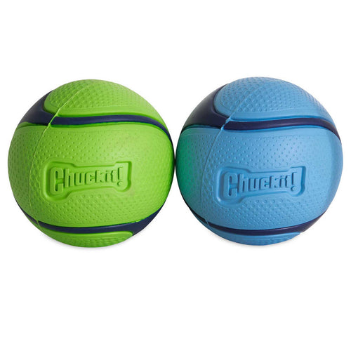 Chuckit! Sniff Fetch Ball Duo Dog Toy