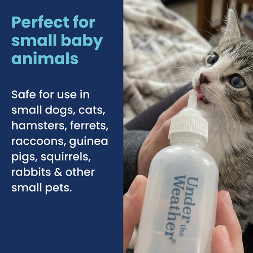 Under the Weather Nursing Kit for Kittens 2oz