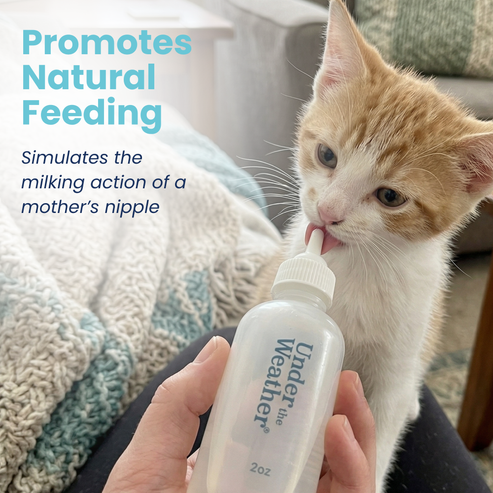Under the Weather Nursing Kit for Kittens 2oz