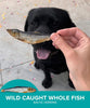 Platos Pet Treats Premium Wild Caught Baltic Herring Dog Treats