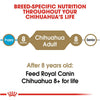 Royal Canin Breed Health Nutrition Chihuahua Adult Dry Dog Food