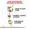 Royal Canin Breed Health Nutrition Boxer Adult Dry Dog Food