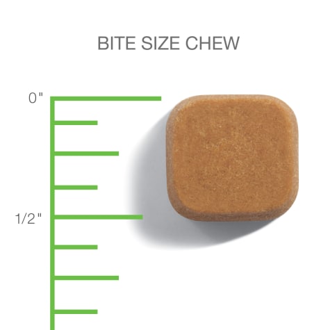 advantus® Small Dog Chew