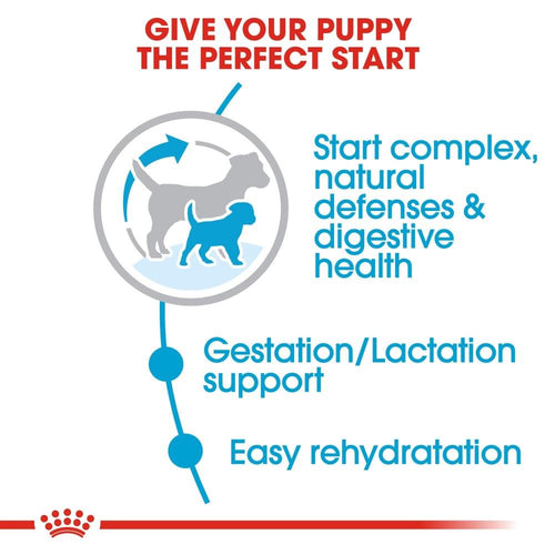 Royal Canin Small Puppy Dry Dog Food