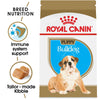 Royal Canin Breed Health Nutrition Bulldog Puppy Dry Dog Food