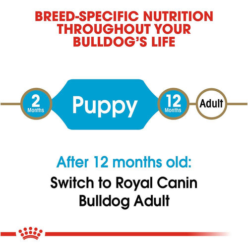 Royal Canin Breed Health Nutrition Bulldog Puppy Dry Dog Food