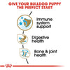 Royal Canin Breed Health Nutrition Bulldog Puppy Dry Dog Food