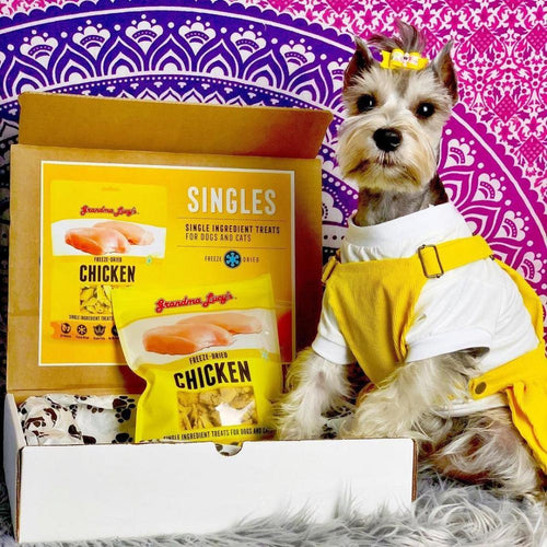 Grandma Lucy's Singles Freeze Dried Chicken Single Ingredient Pet Treats