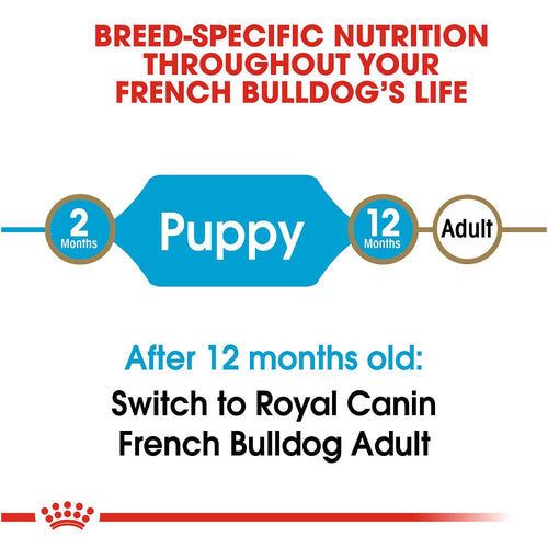 Royal Canin Breed Health Nutrition French Bulldog Puppy Recipe Dry Dog Food