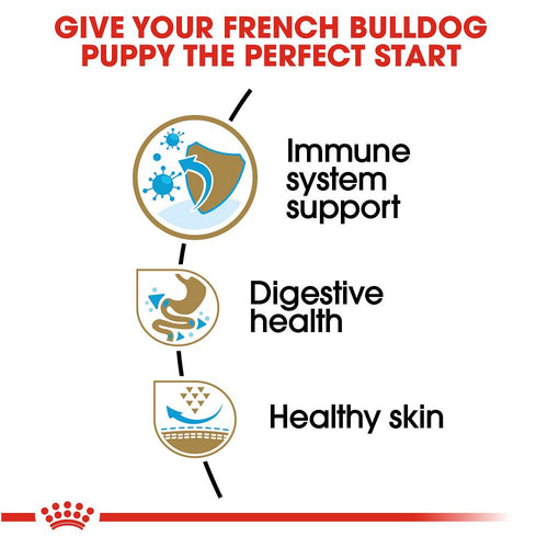 Royal Canin Breed Health Nutrition French Bulldog Puppy Recipe Dry Dog Food