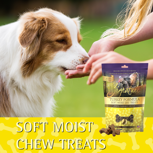 Zignature Soft Moist Dog Treats Turkey Formula