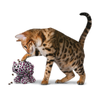 KONG Puzzlements Forage Kitty Cat Toy (One Size)