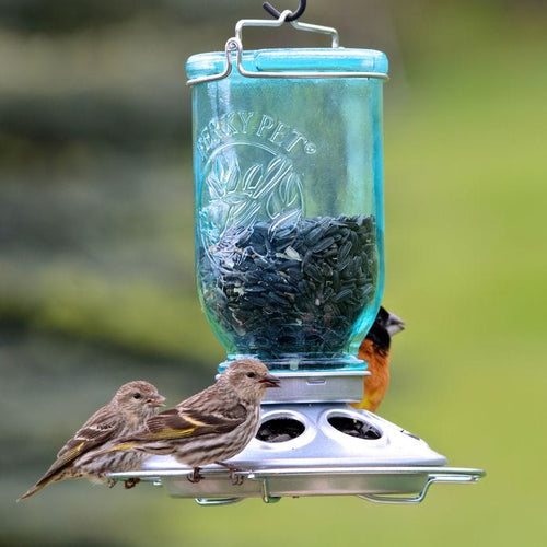 Perky-Pet® Mason Jar Wild Bird Feeder