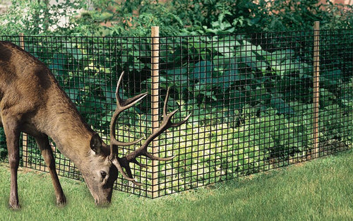 Dalen Deer-X Landscaping Protective Netting