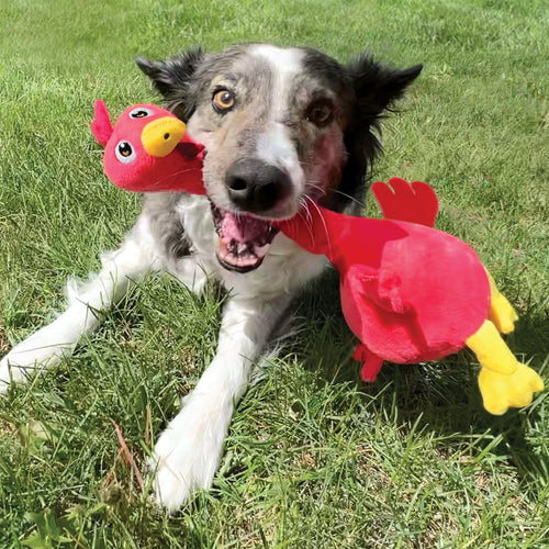 KONG Shakers Bobz Mallard Dog Toy (Medium)