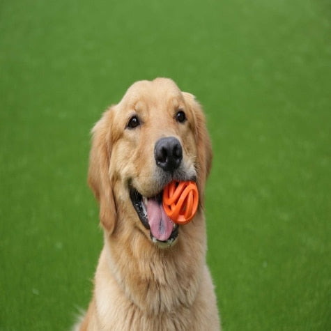 Petmate Chuckit! Breathe Right Fetch Ball